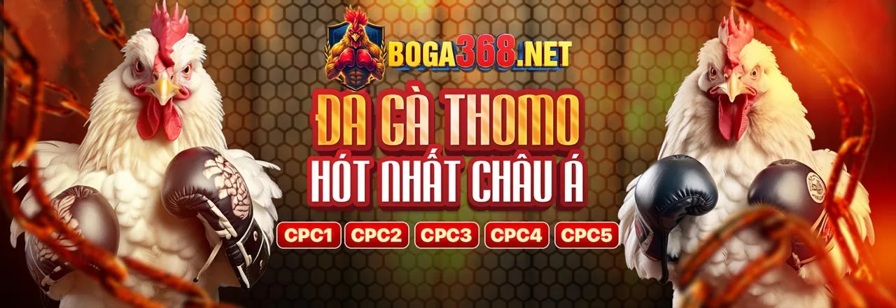 Bước 3: Cài đặt và mở ứng dụng mi88